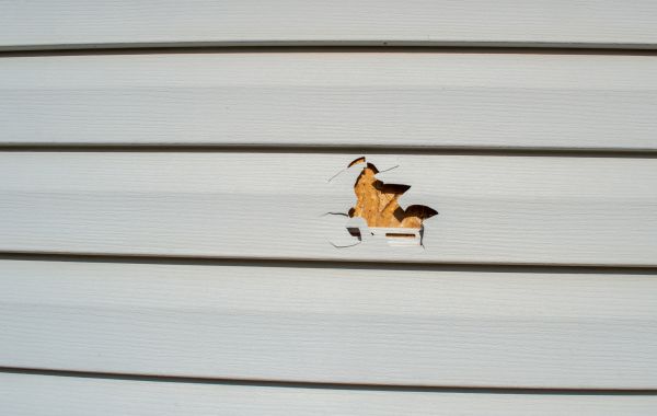 Siding Hole Patching in Sugar Land