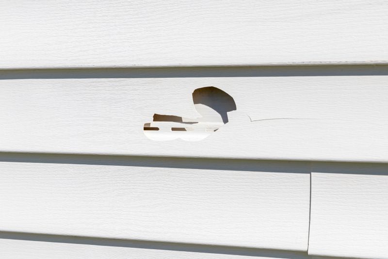 Damaged Vinyl Siding Fix